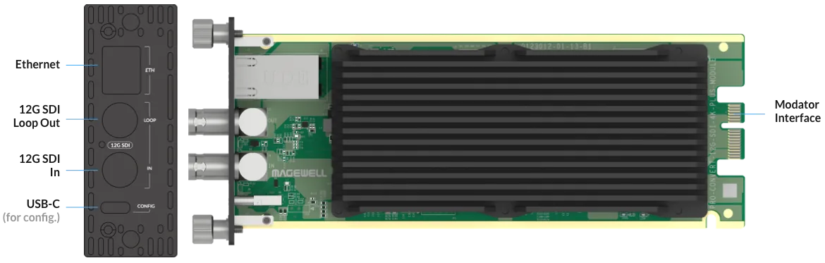 Magewell Pro Convert 12G SDI 4K Plus Module – 12G-SDI zu NDI mit Loop-Through Magewell Pro Convert 12G SDI 4K Plus Module – 12G-SDI zu NDI mit Loop-Through